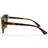 Armani Exchange Shiny Havana/Grey Women's Designer Sunglasses AX4111SU