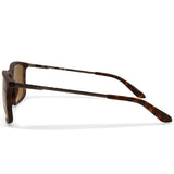 Dragon Damien LL Havana/Brown Men's Designer Sunglasses