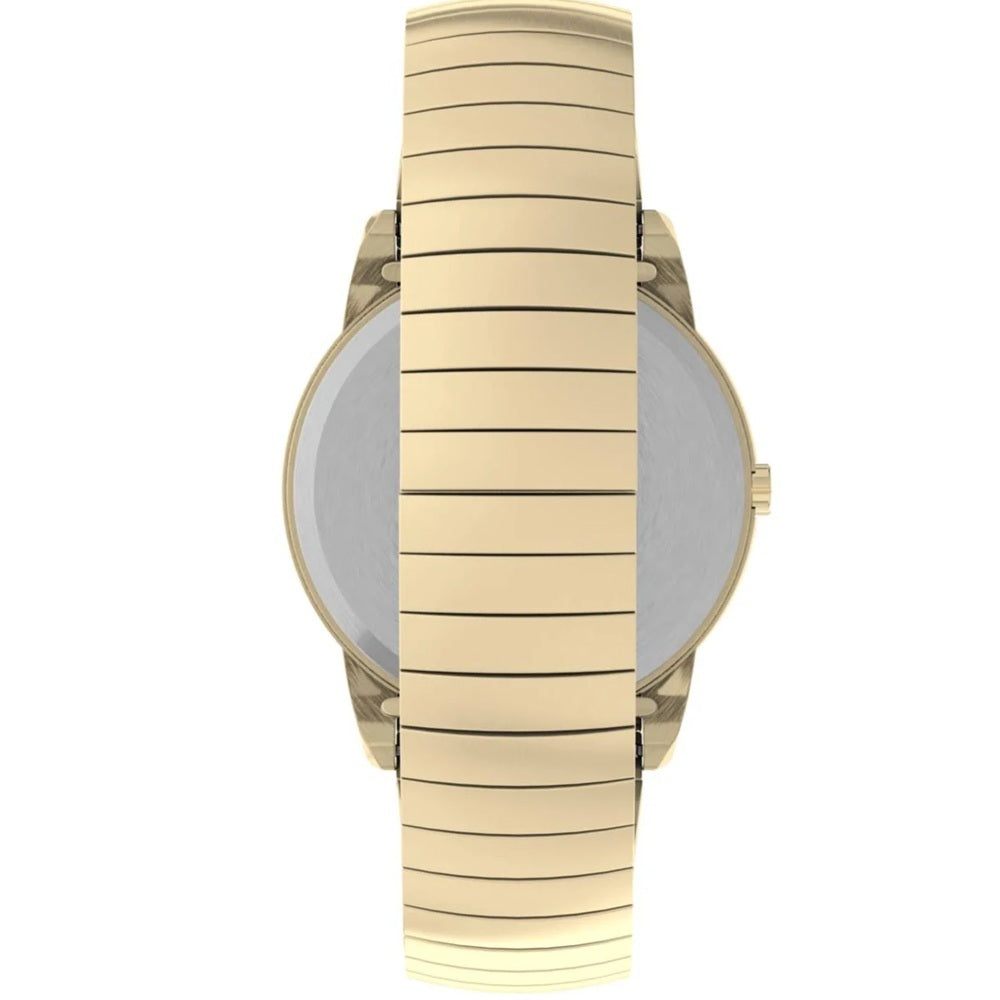 Timex Easy Reader White/Gold Men's 30m Analog Watch T2N090