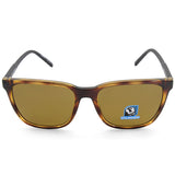 Arnette Cortex Dark Havana/Brown Polarised Men's Sunglasses AN4291 277083